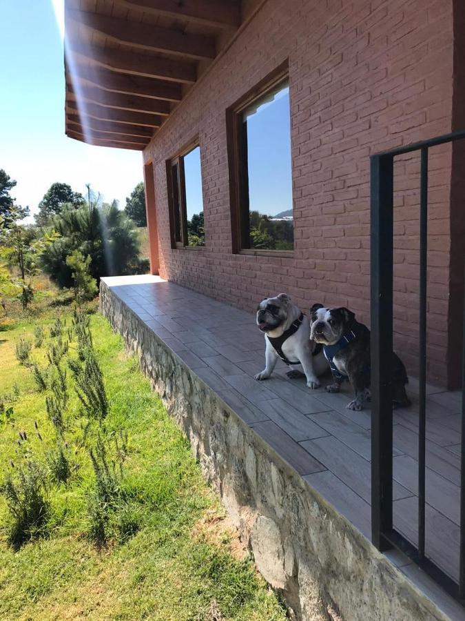 Acogedora Cabana En El Bosque Tlapalpa Villa Tapalpa Exterior foto