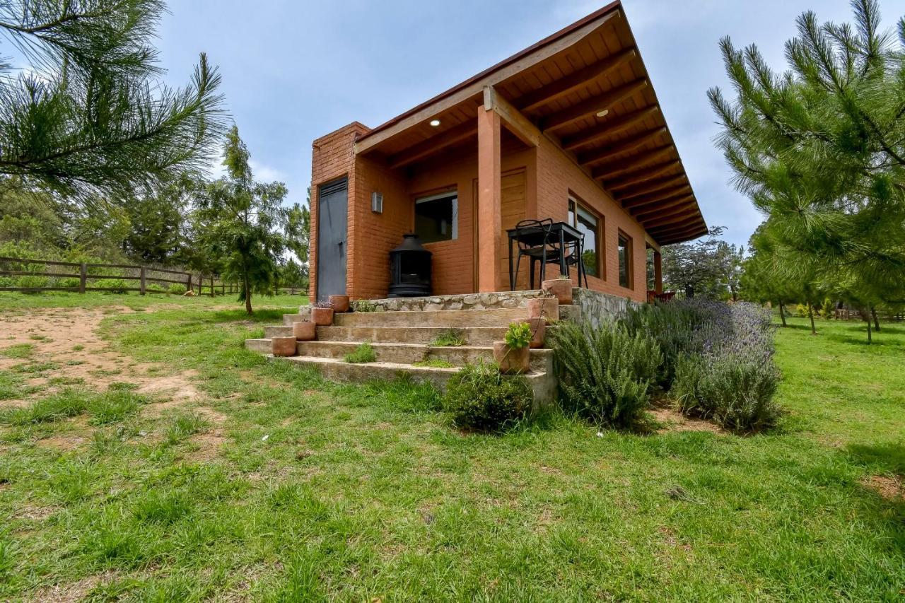 Acogedora Cabana En El Bosque Tlapalpa Villa Tapalpa Exterior foto